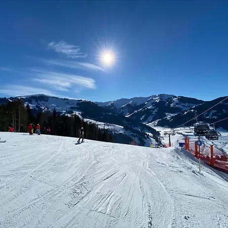 Апартаменты Sonnleiten 1 Мариа-Альм